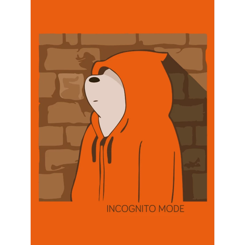 incognito-mode-ferfi-polo
